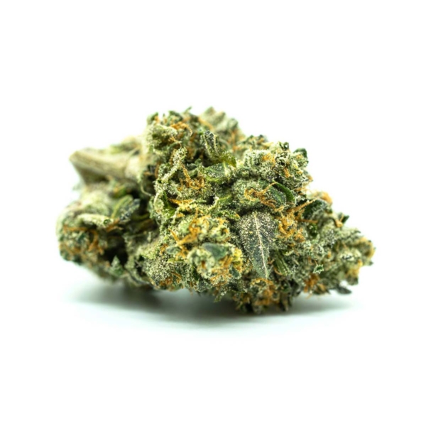 Exodus Cheese