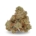 Lemon Krash