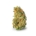 Amnesia Haze Cake