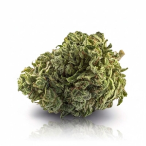 Kush Mintz x 24,0% THC | Sinceritas