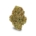 Watermelon OG