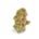 Ocean Grown Cookies