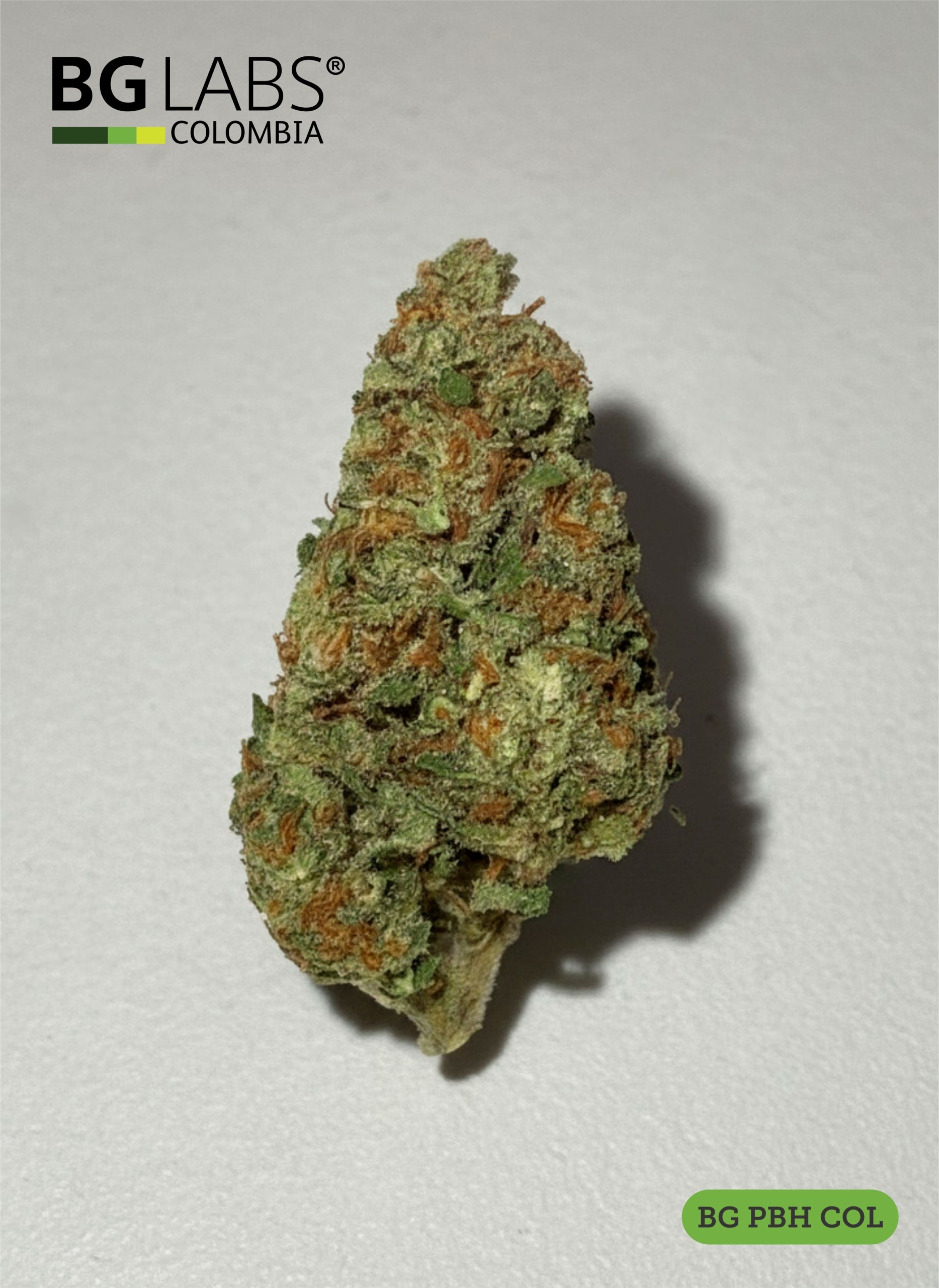Panama Haze