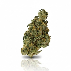 Core Saxonia x 28,0% THC | Demecan