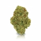 Watermelon OG x 20,0% THC | LUANA