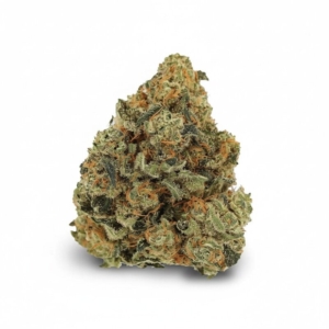 Girl Scout Cookies x 20,0% THC | LUANA