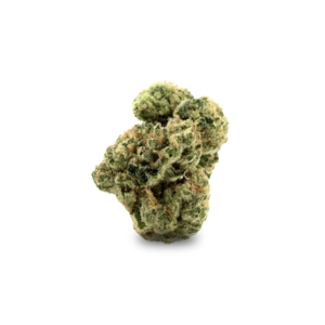 Girl Scout Kush Cannabis Blueten Doktorfy