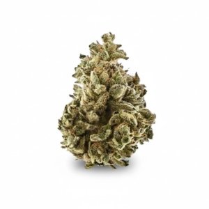 Holy Roller #11 x 22,0% THC | Demecan