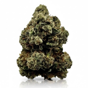 Chem Dawg OG x 27,0% THC | Slouu