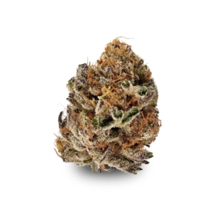 Citron Biker Cookies