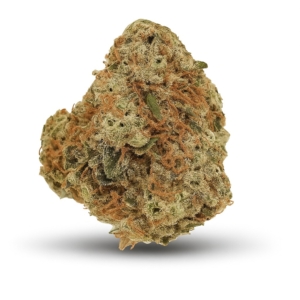 Lemon Skunk