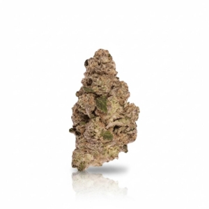 Oreoz x 24,0% THC | Remexian Pharma