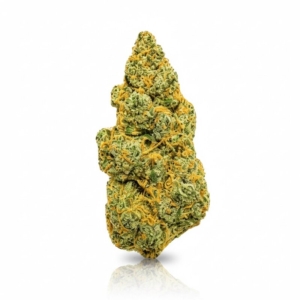 Blueberry Gelato x 24,0% THC | Sinceritas