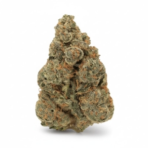 God Cherry Gusher x 28,0% THC | LUANA