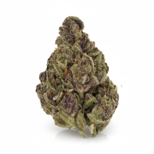 Tropicana Cookies x 20,0% THC | LUANA