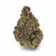 Tropicana Cookies x 20,0% THC | LUANA