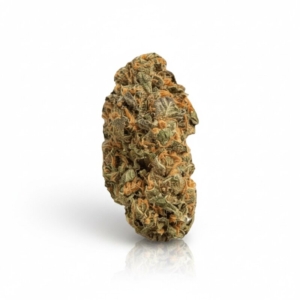 Lemon Cream Sherbert x 33,0% THC | Remexian Pharma