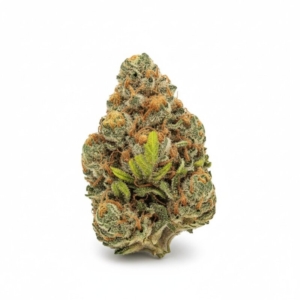 Nova x 24,0% THC | Cannamedical