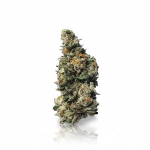 Tropical Blues x 26,0% THC | ADREXpharma
