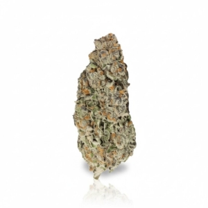 Tropical Cake x 24,0% THC | Sinceritas