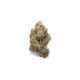 Alien Mint