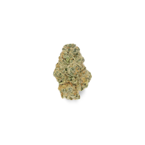 Blue Lavender