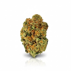 Black Cherry Punch x 24,0% THC | Cannamedical