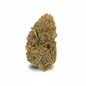 Jack Herer x 24,0% THC | Cannamedical