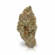 Orange Creampop x 24,0% THC | Cannamedical