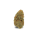 Jack Herer x 24,0% THC | Cannamedical