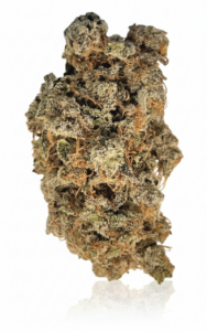 Glueberry x 24,0% THC | ADREXpharma