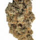 Glueberry x 24,0% THC | ADREXpharma